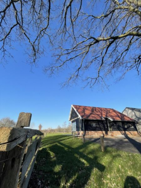 Het Bruineveld